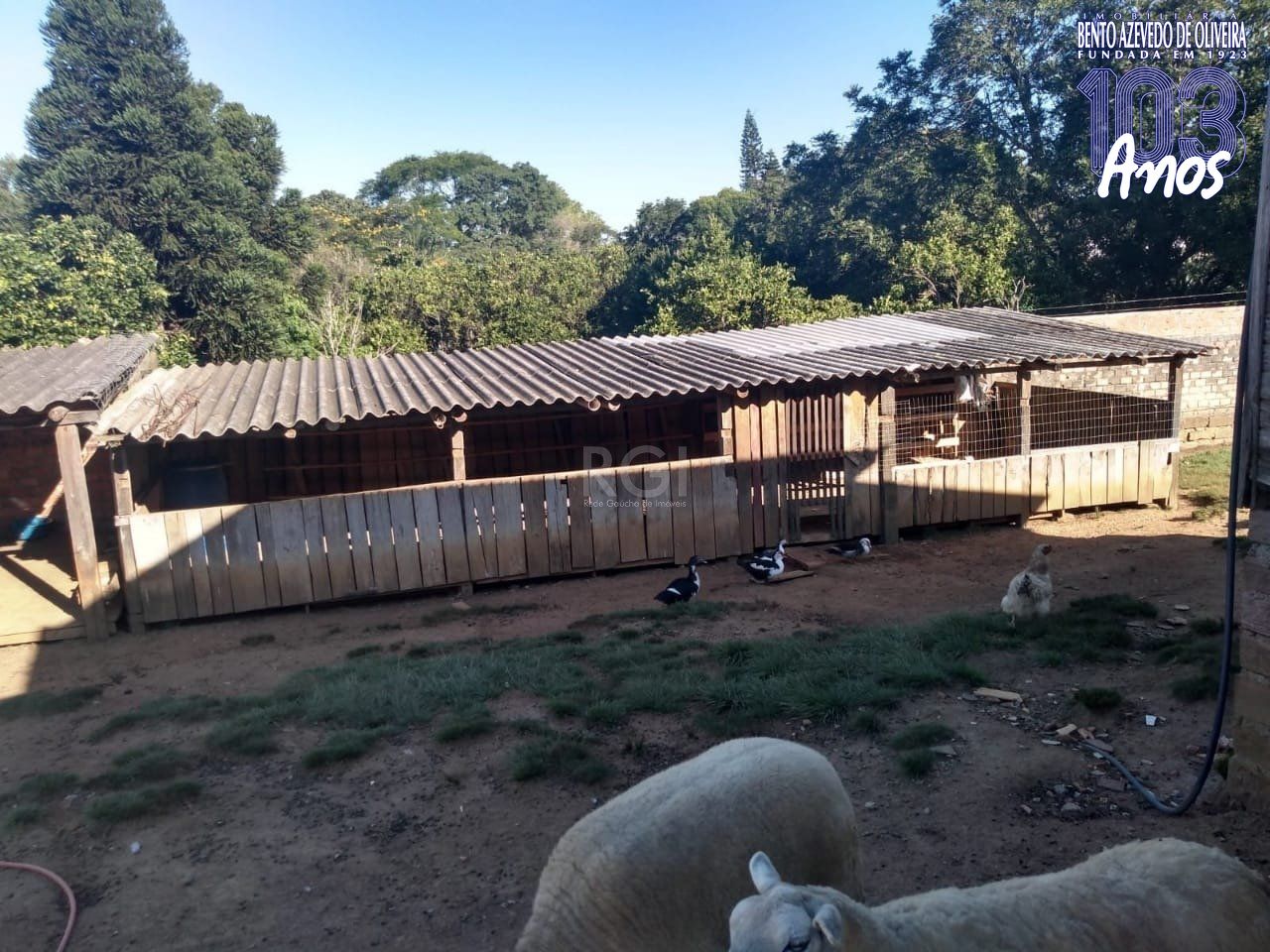 Chácara, 2 quartos, 3360 m² - Foto 14