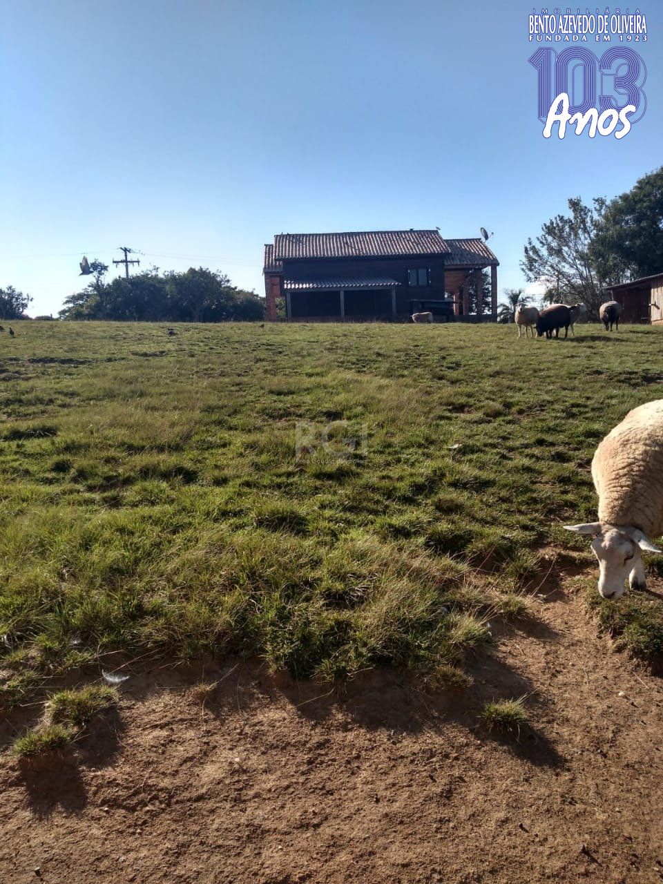 Chácara, 2 quartos, 3360 m² - Foto 12