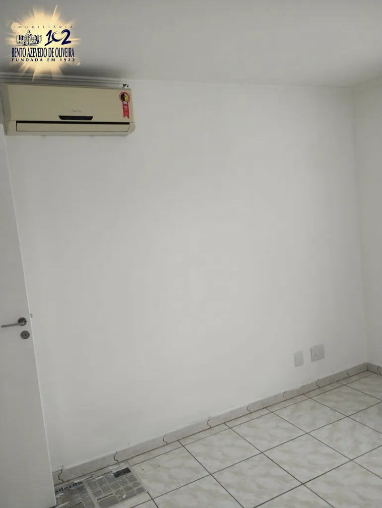 2447725.jpeg