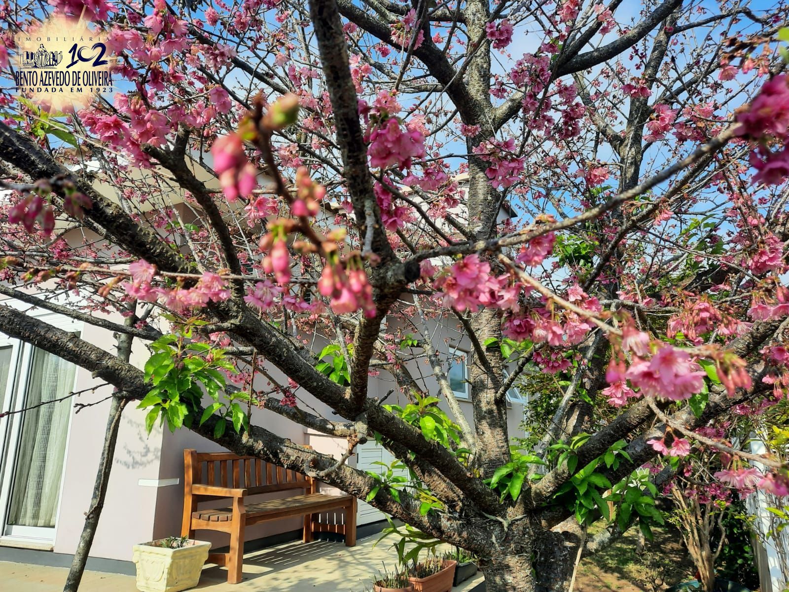 Casa, 3 quartos, 158 m² - Foto 44