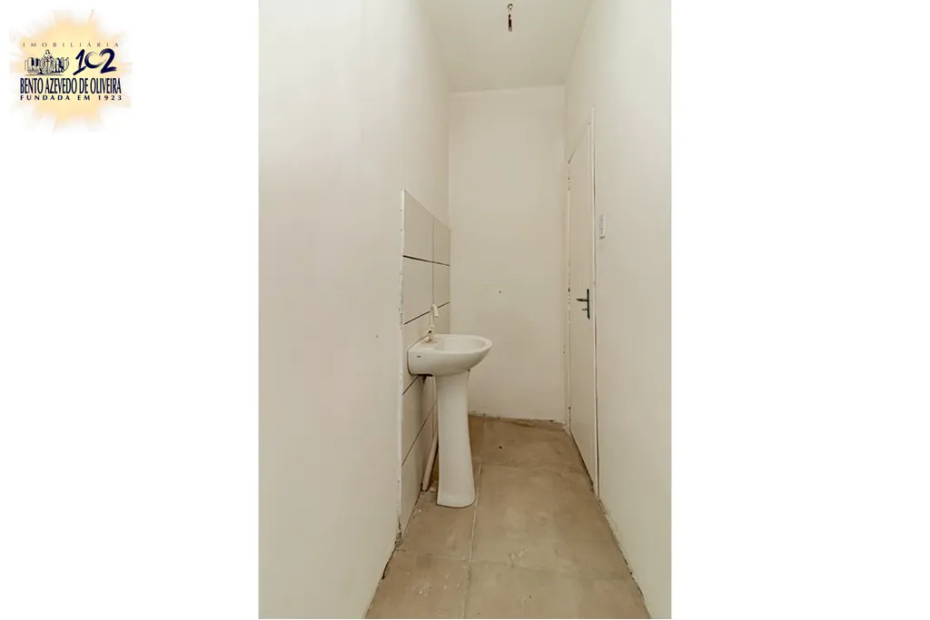 2516677.jpeg