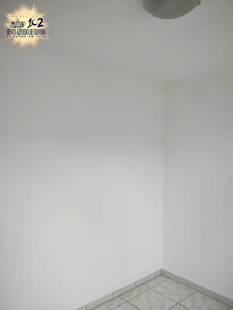 2447726.jpeg