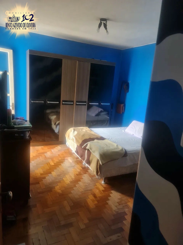 2531539.jpeg