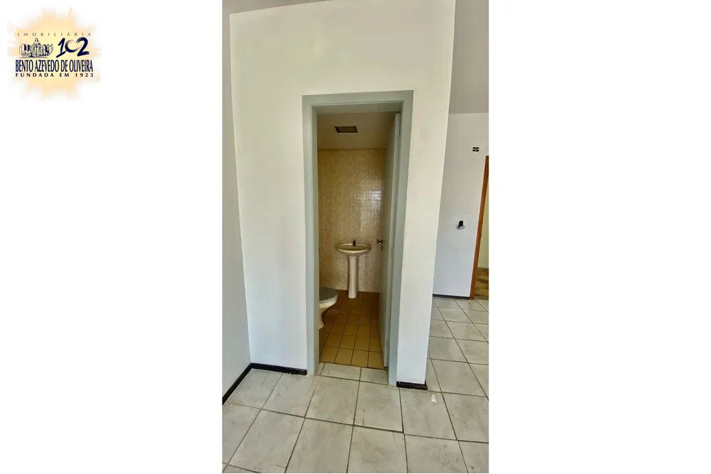 2110157.jpeg