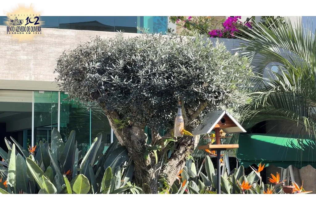 flue2zojw8rbhvzrb4bklooufnwp