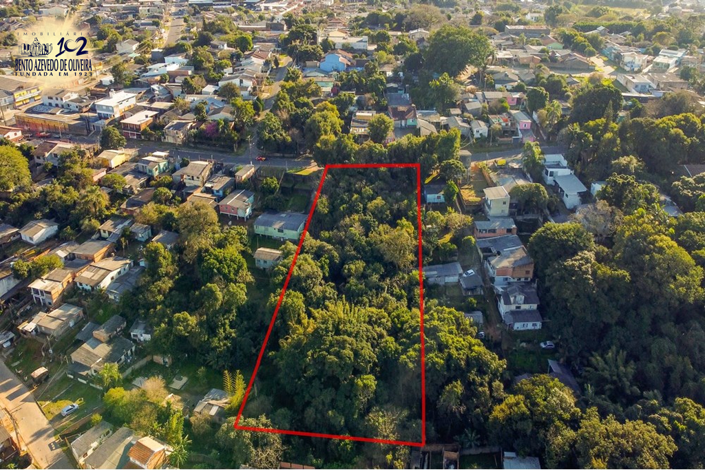 Terreno, 6250 m² - Foto 4
