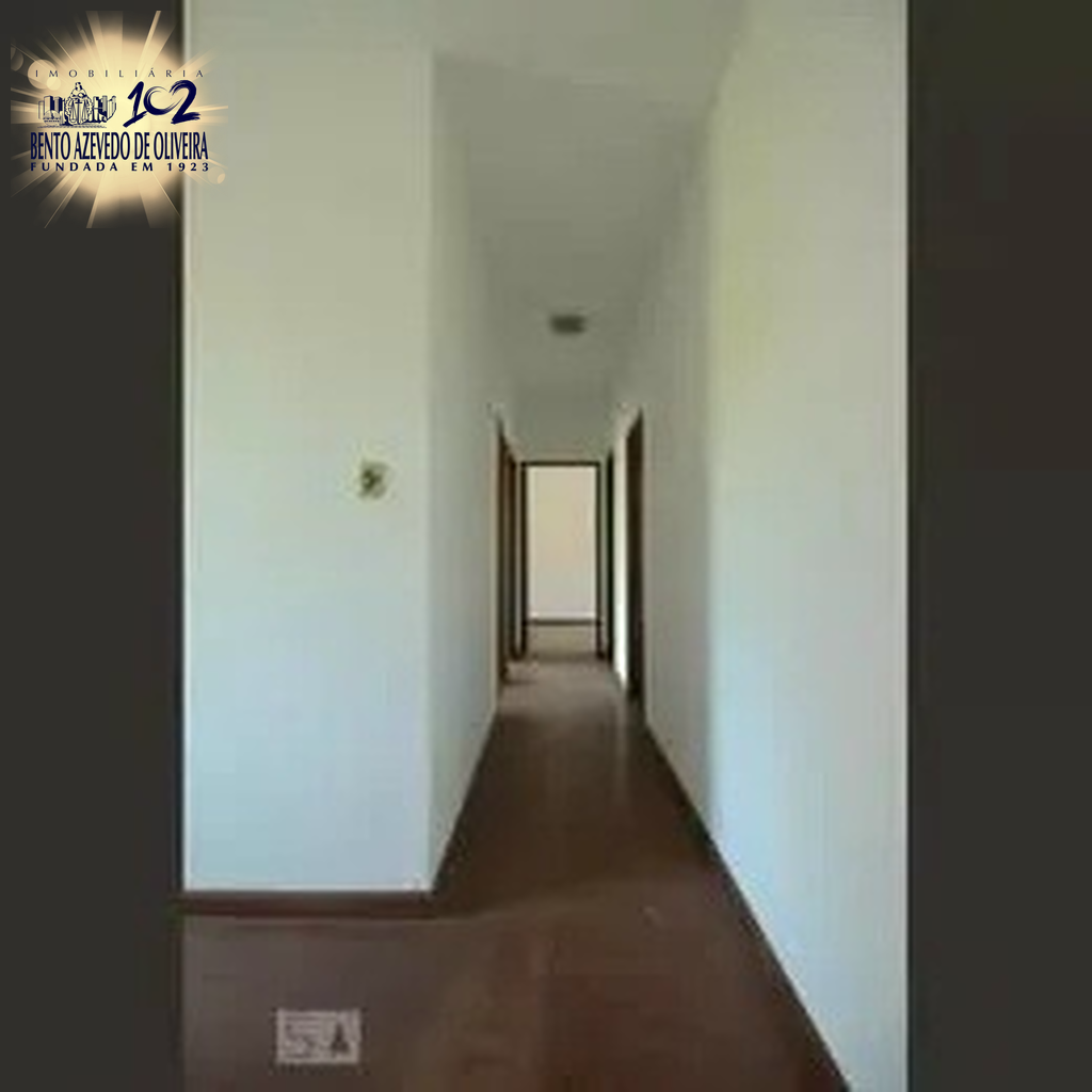 2531526.jpeg