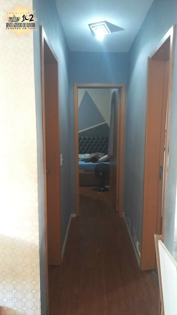 2528220.jpeg