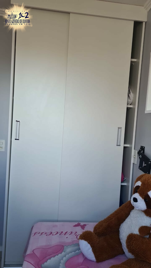 2528388.jpeg