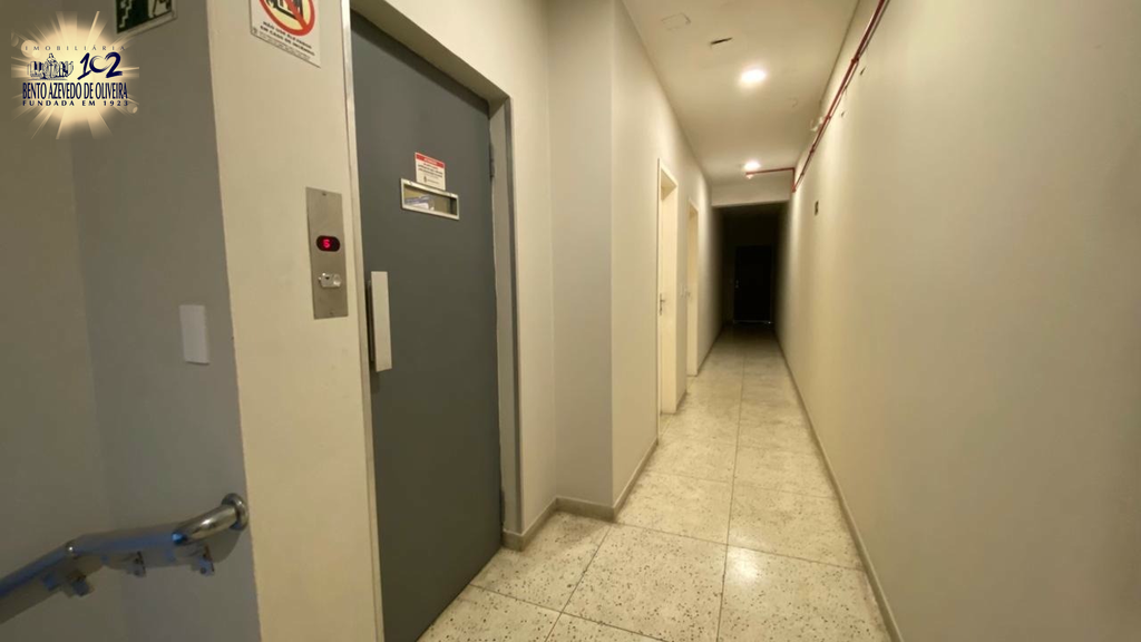 2336127.jpeg