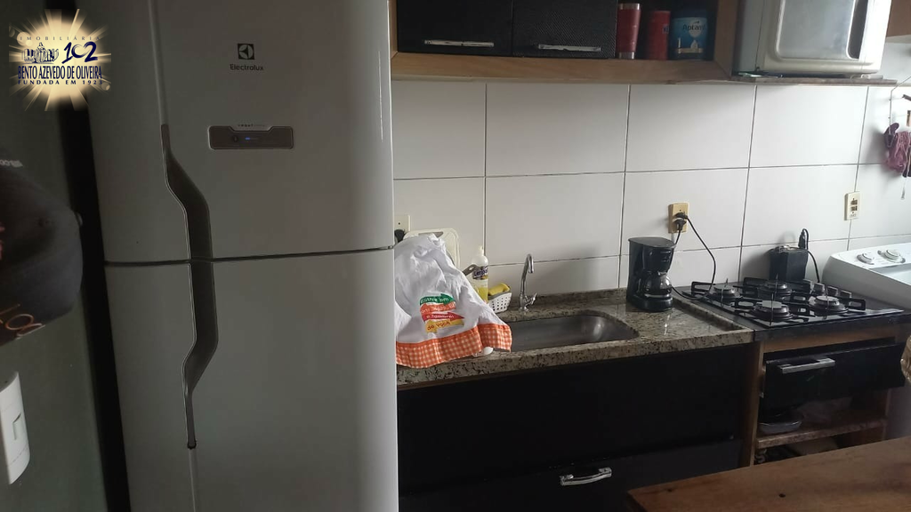 2528224.jpeg