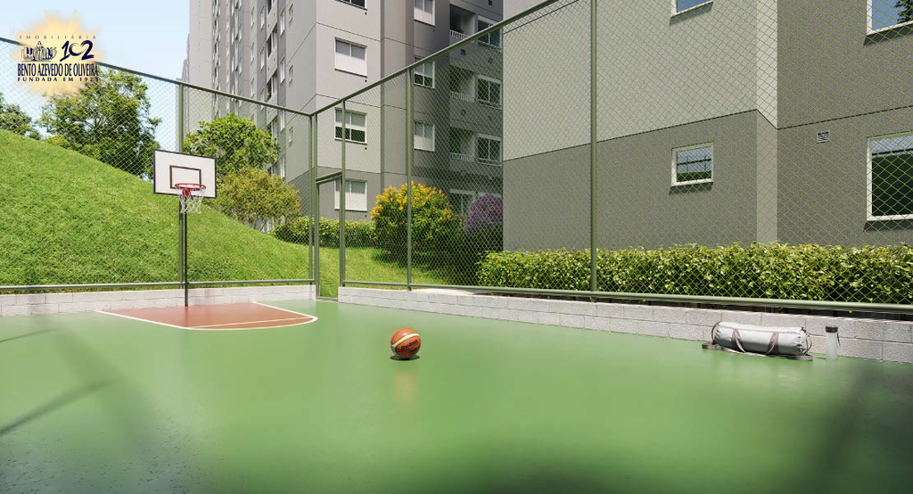 2528495.jpg