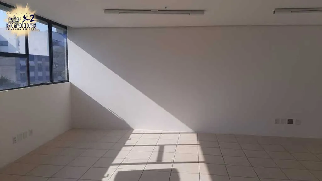 891488.jpg