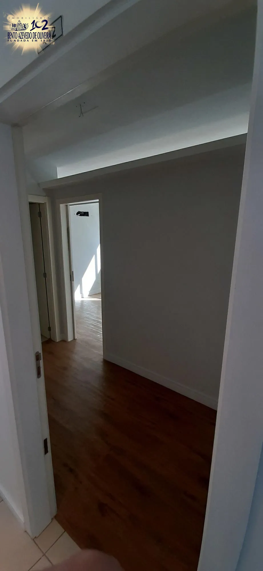 388356.jpg