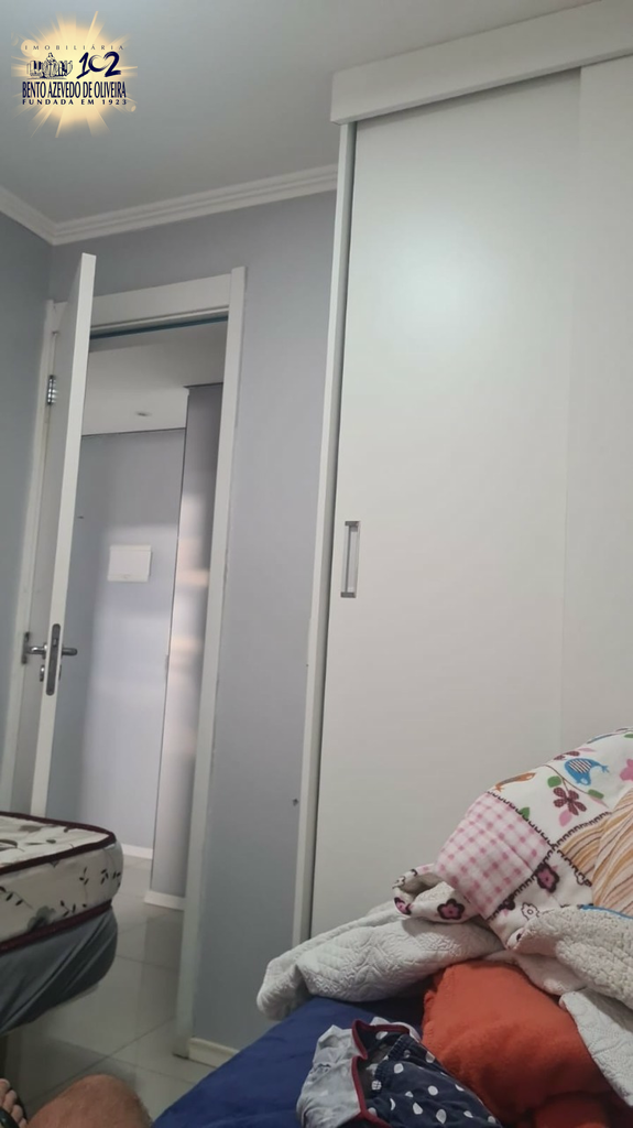 2528383.jpeg