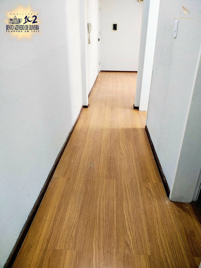 2529981.jpeg