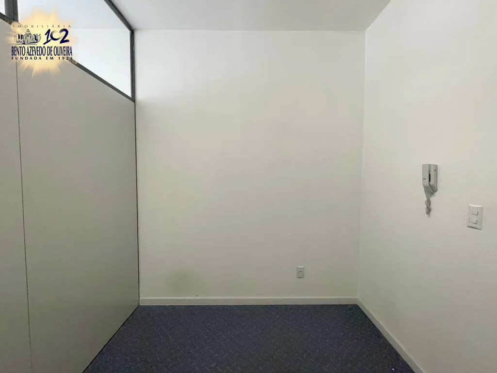 2287329.jpeg