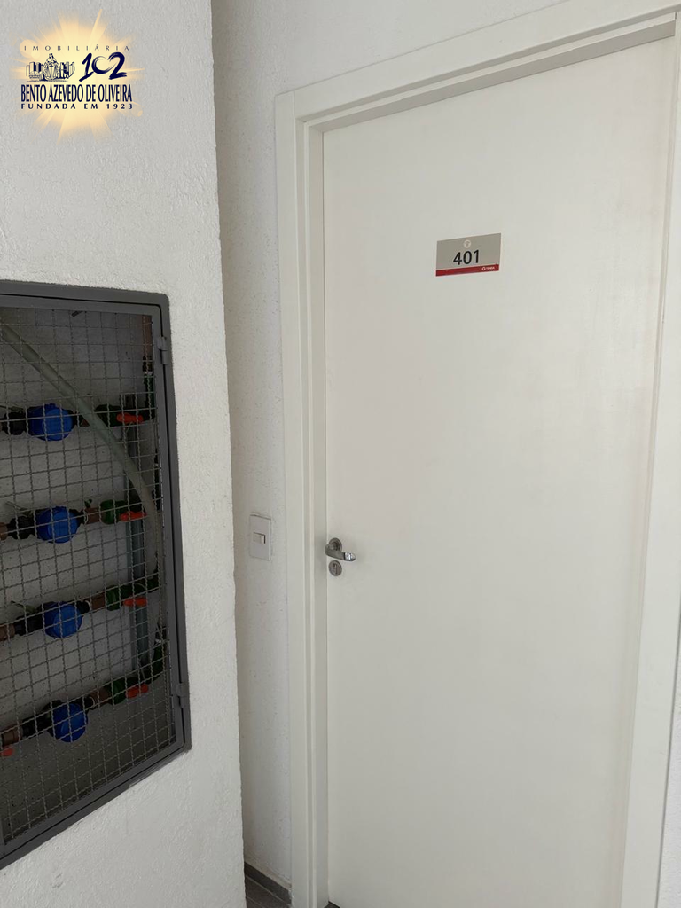 2444963.jpeg