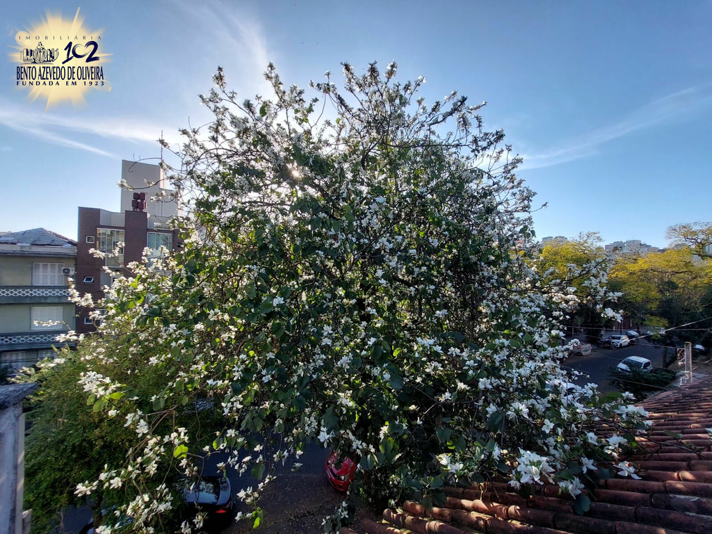 Casa, 5 quartos, 176 m² - Foto 25