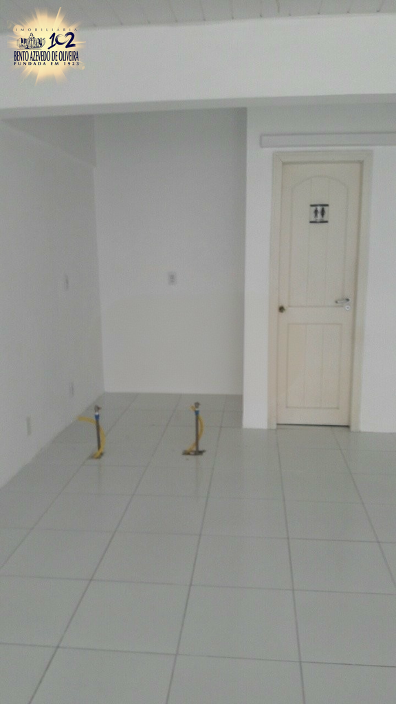 2477098.jpeg