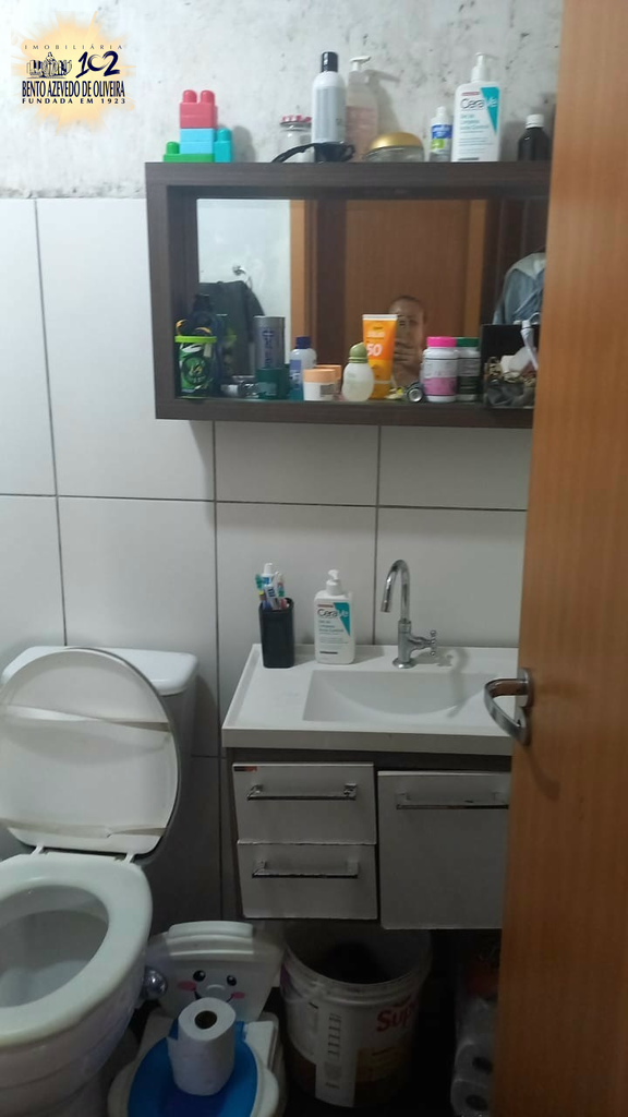2528221.jpeg