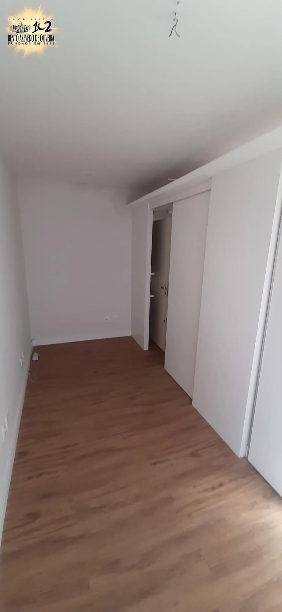 388355.jpg