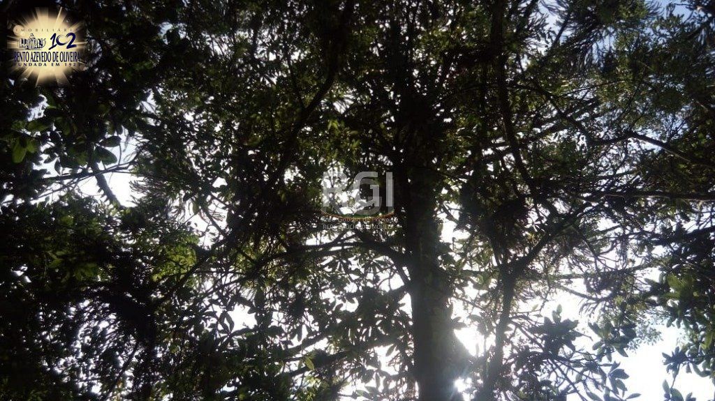 Chácara, 3 quartos, 1434 m² - Foto 31