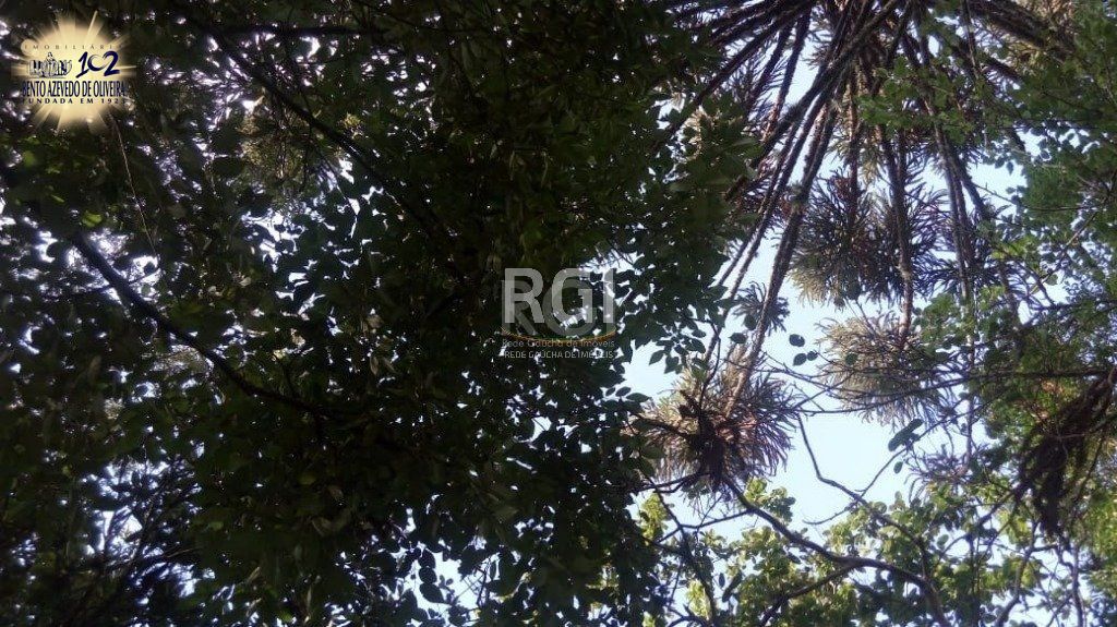 Chácara, 3 quartos, 1434 m² - Foto 38