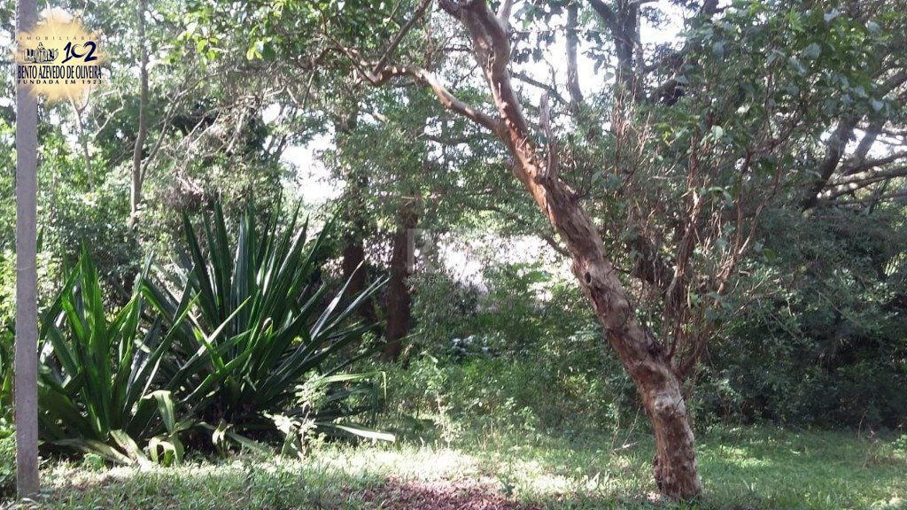Terreno, 1 hectares - Foto 8