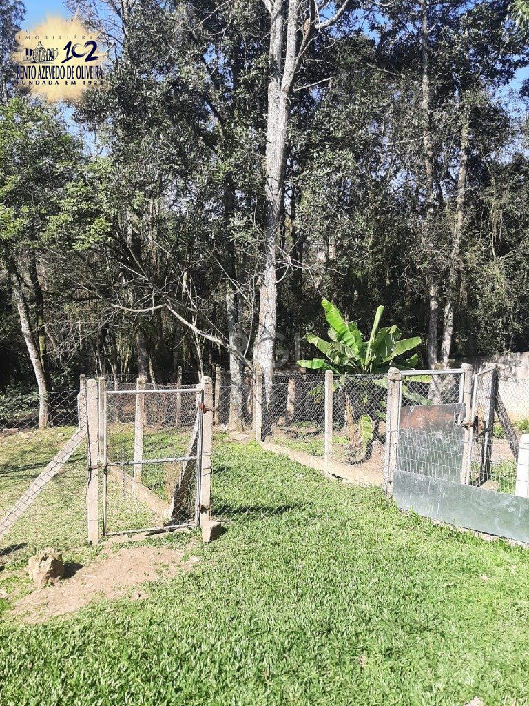 Terreno, 4526 m² - Foto 6