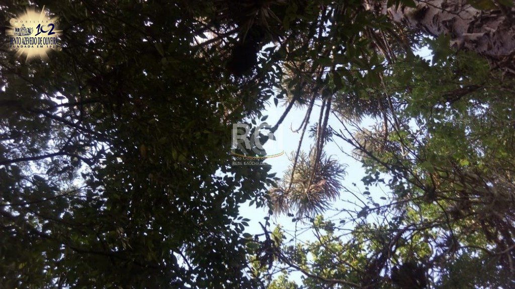 Chácara, 3 quartos, 1434 m² - Foto 28