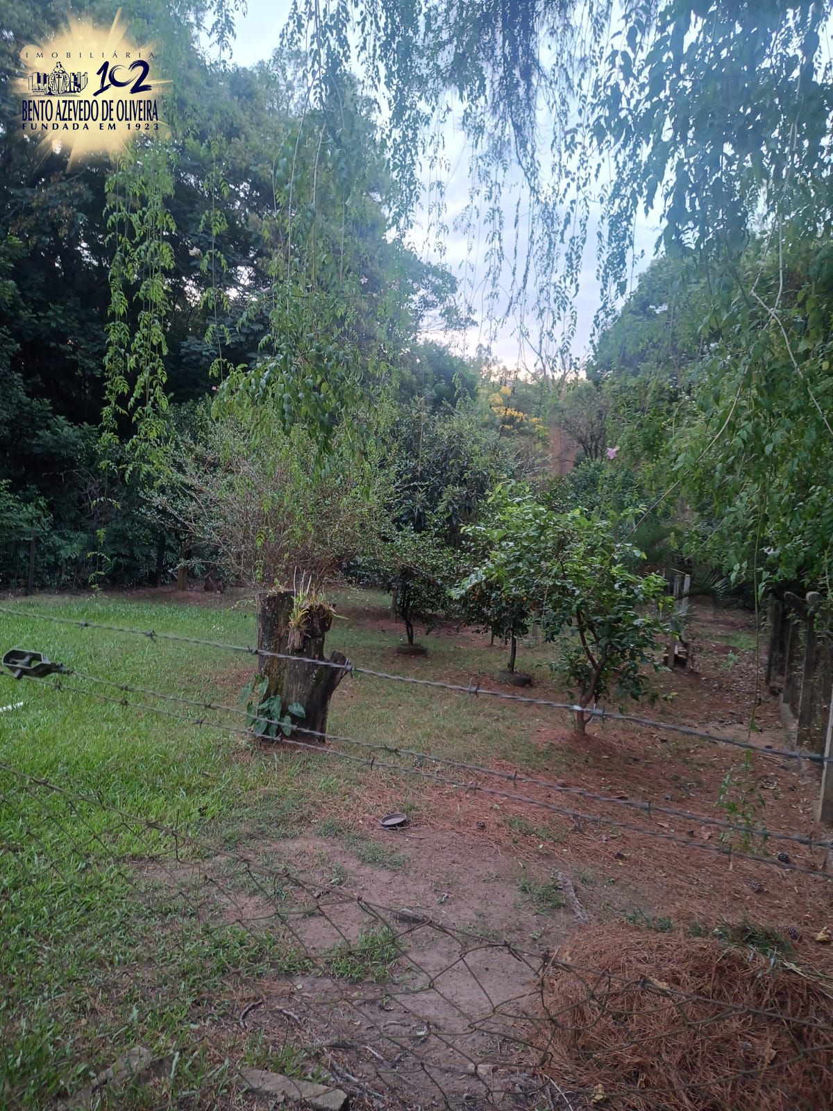 Chácara, 2 quartos, 1200 m² - Foto 3