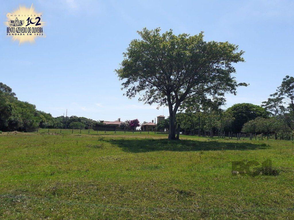 Chácara, 5 quartos, 8 hectares - Foto 21