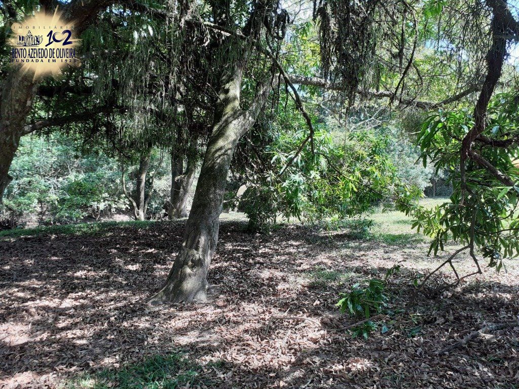 Chácara, 5 quartos, 8 hectares - Foto 15