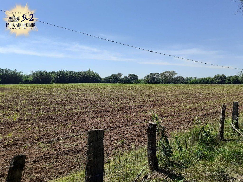 Chácara, 5 quartos, 8 hectares - Foto 17