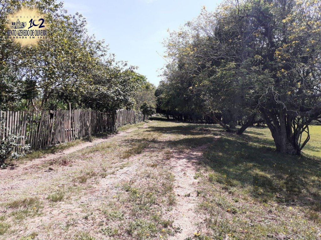 Chácara, 5 quartos, 8 hectares - Foto 22