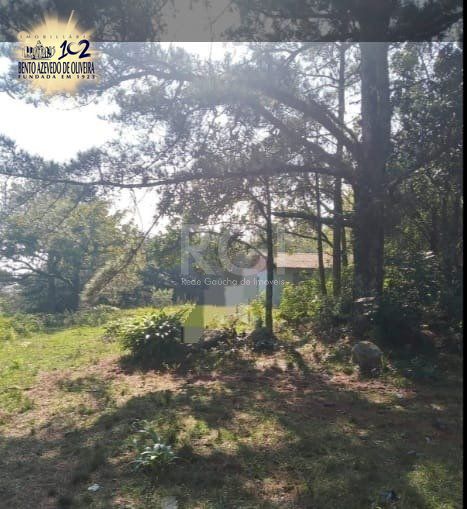 Terreno, 4000 m² - Foto 2