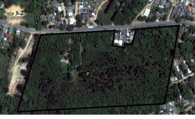 Terreno, 4000 m² - Foto 4