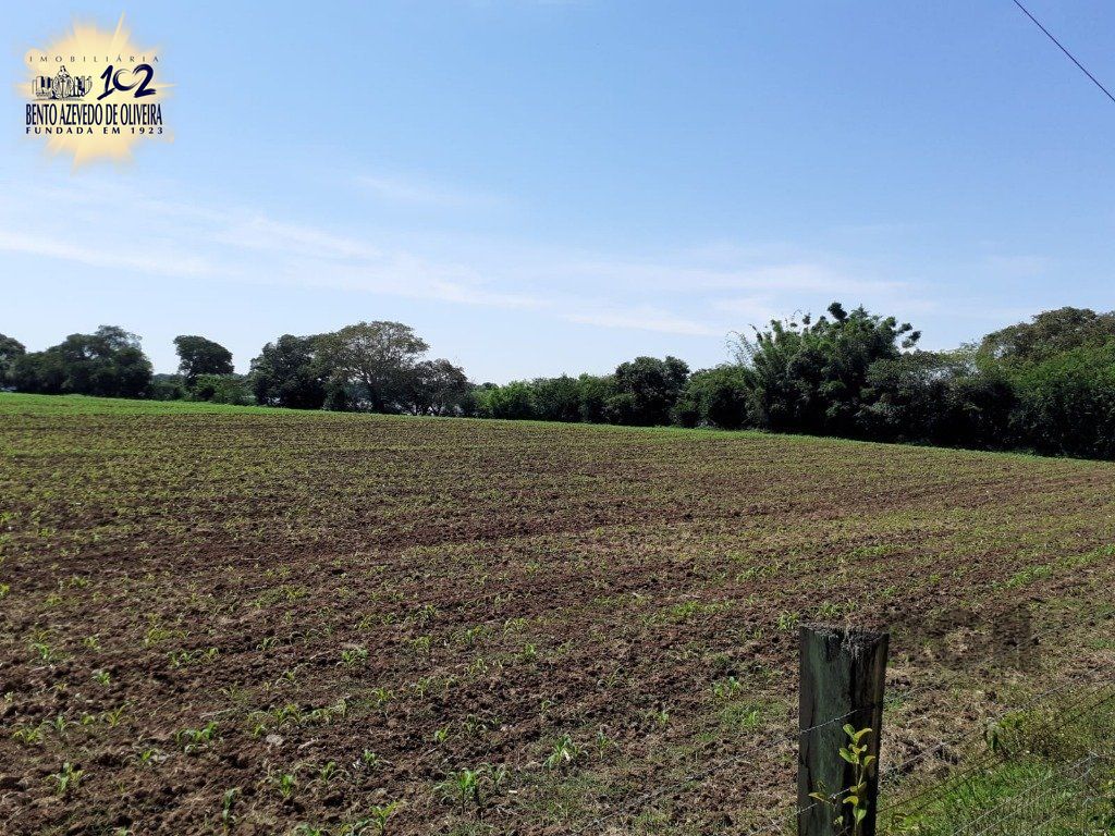 Chácara, 5 quartos, 8 hectares - Foto 19