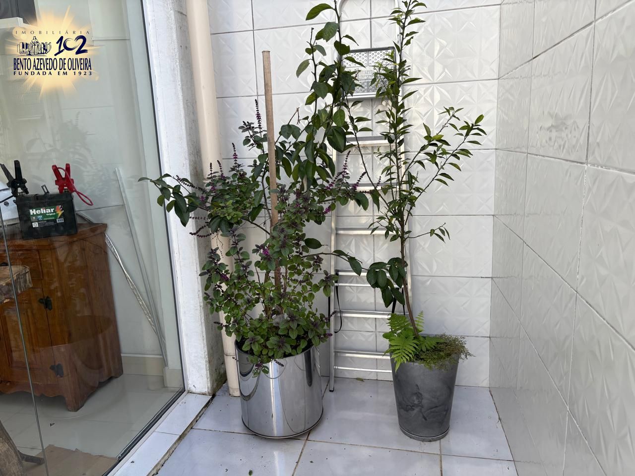 Prédio Inteiro, 450 m² - Foto 19
