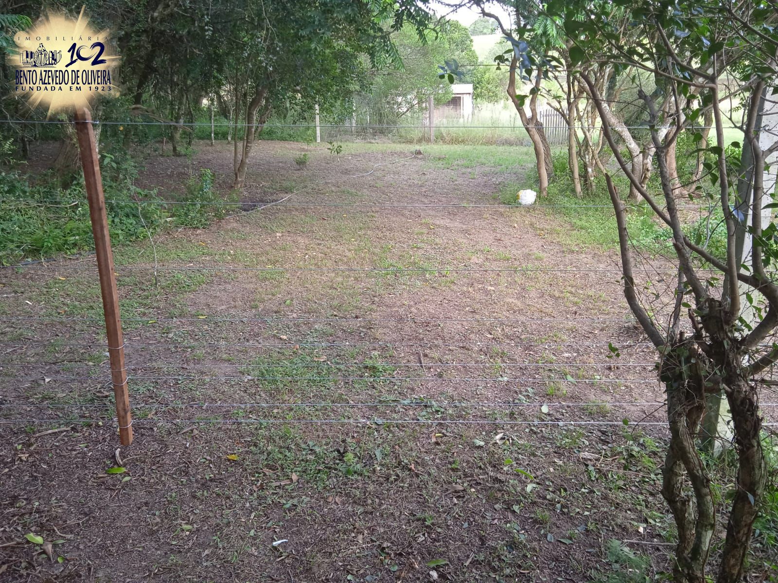 Sítio, 2 quartos, 5 hectares - Foto 13