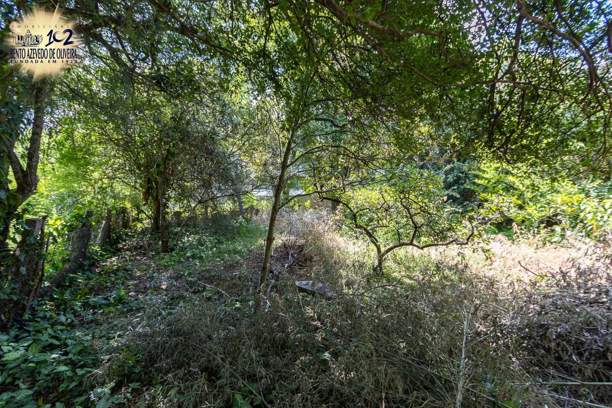 Terreno, 1 m² - Foto 14