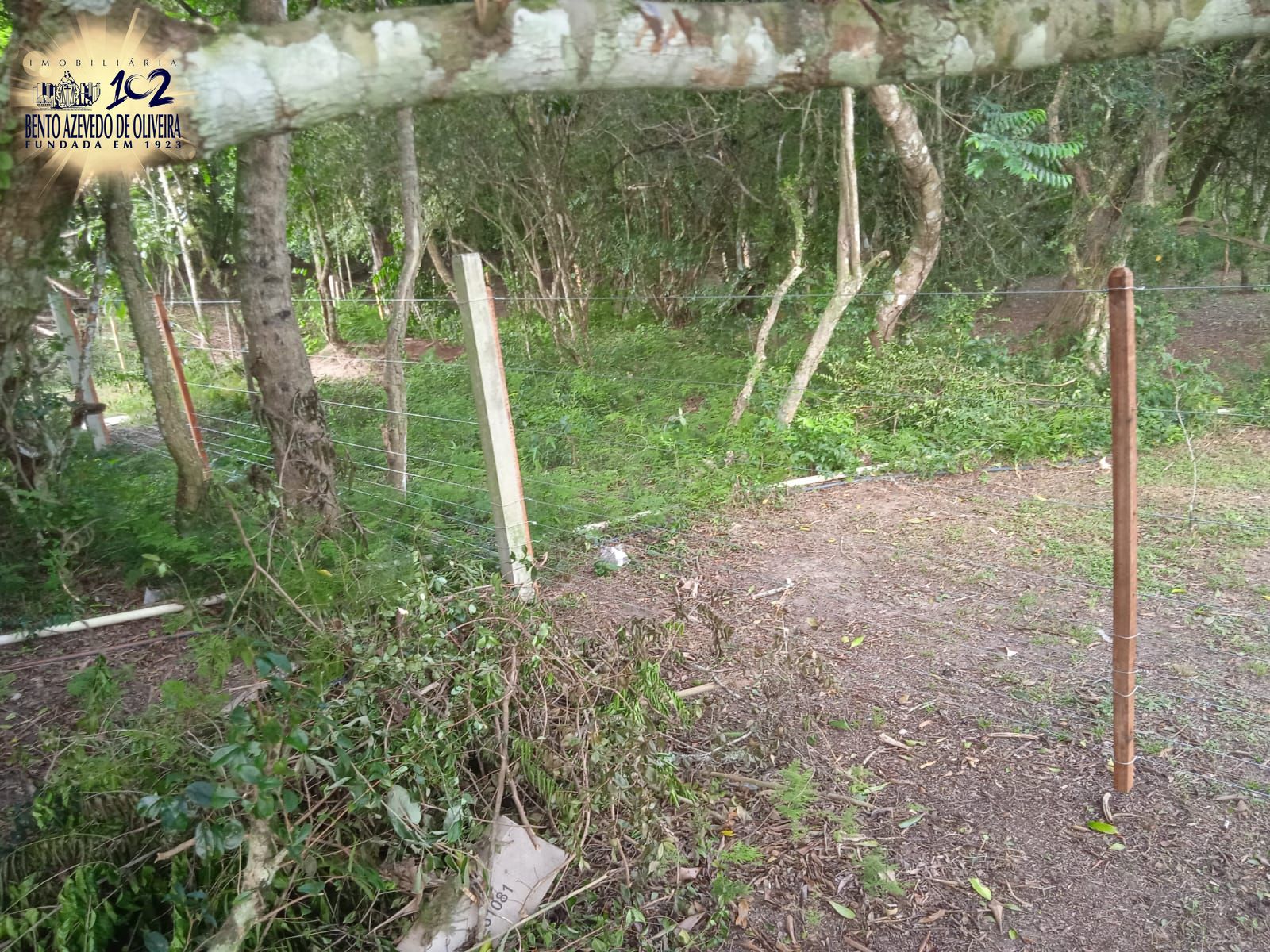 Sítio, 2 quartos, 5 hectares - Foto 10