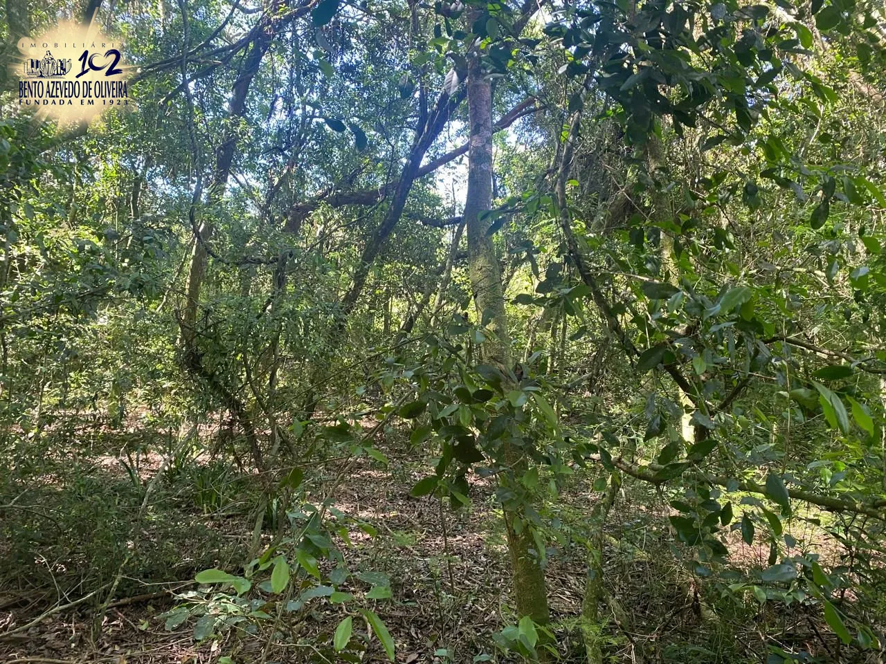 Terreno, 9750 m² - Foto 22