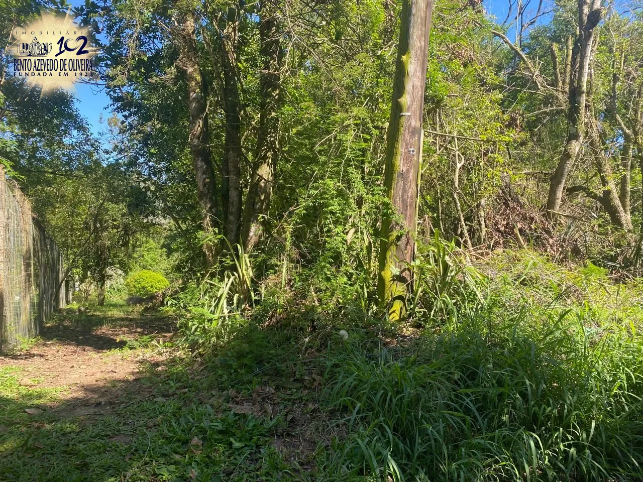 Terreno, 9750 m² - Foto 28