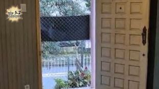 Casa, 2 quartos, 300 m² - Foto 4