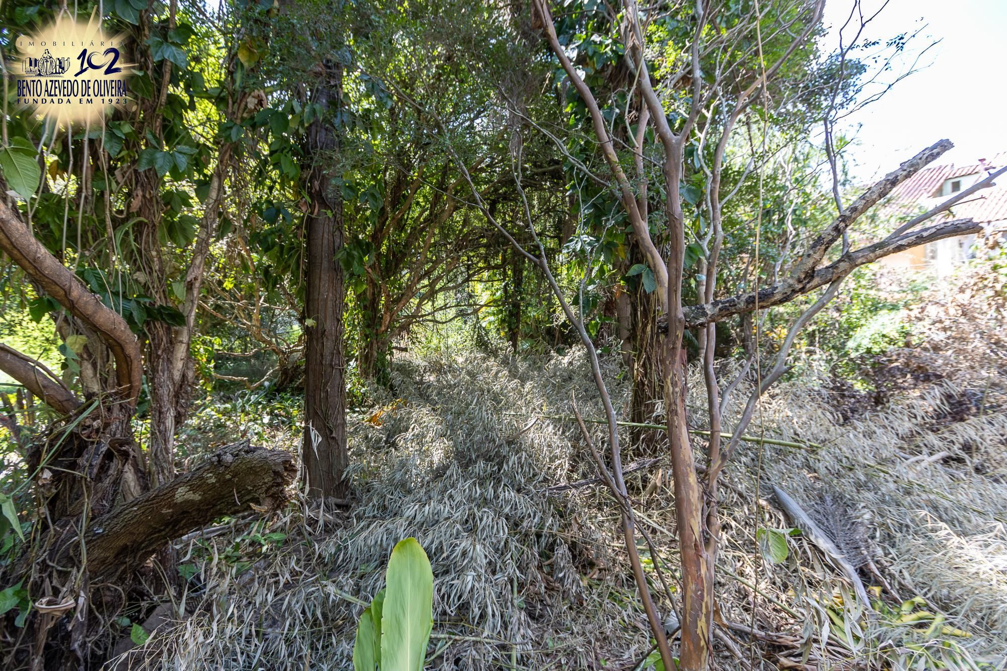 Terreno, 1 m² - Foto 13