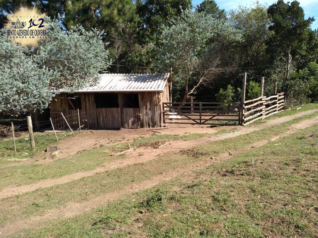 Chácara, 4 quartos, 8 hectares - Foto 33