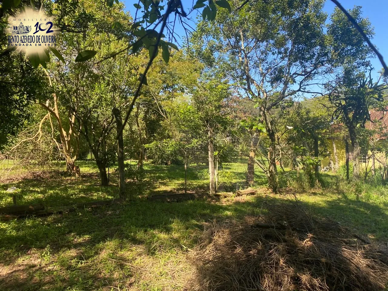 Terreno, 9750 m² - Foto 5