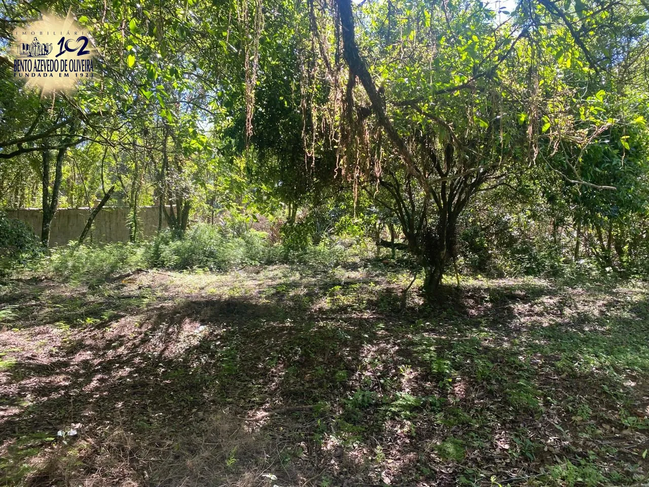 Terreno, 9750 m² - Foto 4